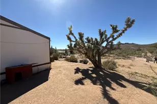 16676 N Kingman Dr, Dolan Springs, AZ 86441 - Photo 18