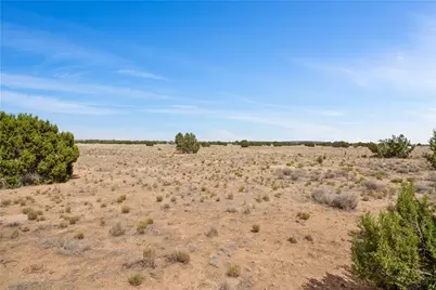 53236 N Saddlerock Drive, Seligman, AZ 86337 - Photo 28