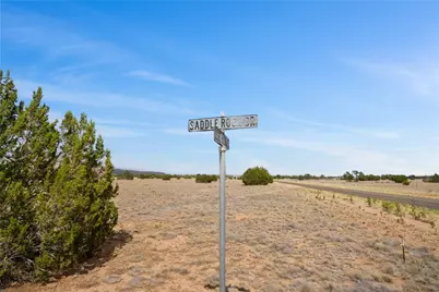 53236 N Saddlerock Drive, Seligman, AZ 86337 - Photo 30