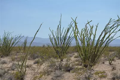 207-17-169A S Cherry Road, Yucca, AZ 86438 - Photo 50