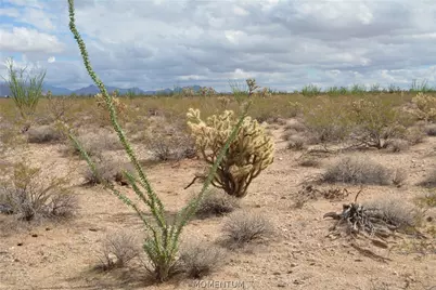 207-17-169A S Cherry Road, Yucca, AZ 86438 - Photo 72