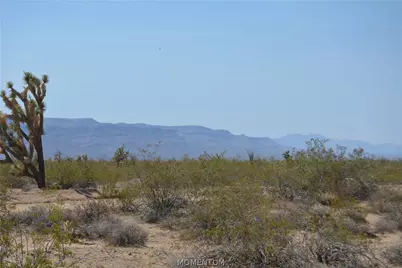 207-17-169A S Cherry Road, Yucca, AZ 86438 - Photo 2