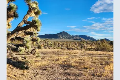 26821 N Bullhead Road, Meadview, AZ 86444 - Photo 8
