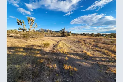 26821 N Bullhead Road, Meadview, AZ 86444 - Photo 4