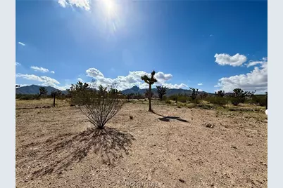17320 N Mead Drive, Dolan Springs, AZ 86441 - Photo 40
