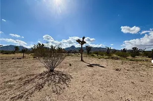 17320 N Mead Dr, Dolan Springs, AZ 86441 - Photo 40