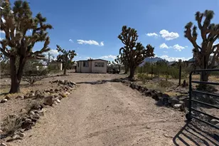 17320 N Mead Dr, Dolan Springs, AZ 86441 - Photo 10