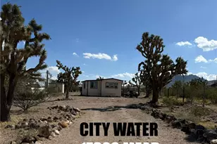 17320 N Mead Dr, Dolan Springs, AZ 86441 - Photo 1