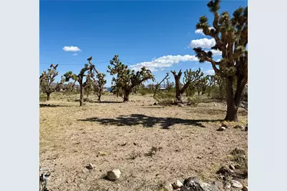 17320 N Mead Drive, Dolan Springs, AZ 86441 - Photo 38