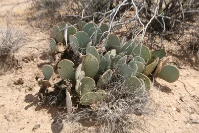 242-05-015, 016 Gene Autry Road, Yucca, AZ 86438 - Photo 20