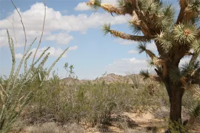 242-05-015, 016 Gene Autry Road, Yucca, AZ 86438 - Photo 16