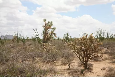 242-05-015, 016 Gene Autry Road, Yucca, AZ 86438 - Photo 22