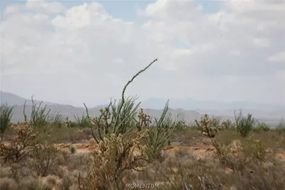 242-05-015, 016 Gene Autry Road, Yucca, AZ 86438 - Photo 30
