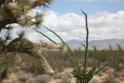 242-05-015, 016 Gene Autry Road, Yucca, AZ 86438 - Photo 1