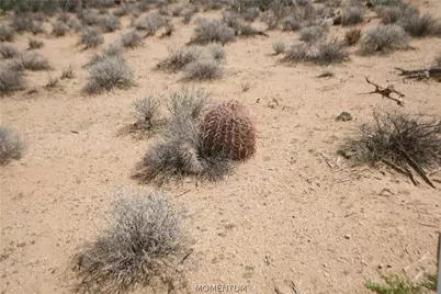 242-05-015, 016 Gene Autry Road, Yucca, AZ 86438 - Photo 32