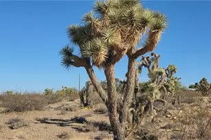 21435 W Palm Desert Dr, White Hills, AZ 86445 - Photo 1