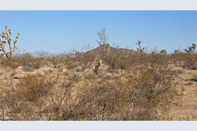 21435 W Palm Desert Drive, White Hills, AZ 86445 - Photo 16