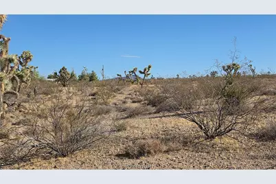 21435 W Palm Desert Drive, White Hills, AZ 86445 - Photo 22