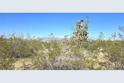 327-03-461 S Quail Drive, Dolan Springs, AZ 86441 - Photo 2