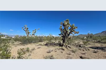 327-03-461 S Quail Drive, Dolan Springs, AZ 86441 - Photo 6