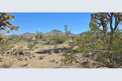 327-03-461 S Quail Drive, Dolan Springs, AZ 86441 - Photo 1