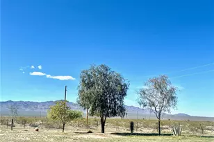 21477 S Sundance Kid Rd, Yucca, AZ 86438 - Photo 54