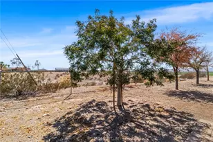 5658 S Ruby, Fort Mohave, AZ 86426 - Photo 44