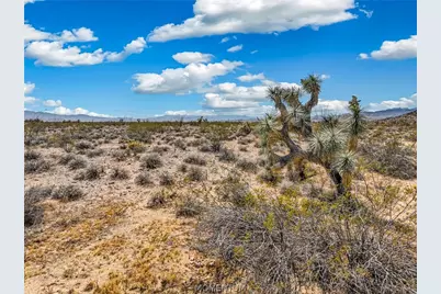 245-19-061 S Douglas Road, Yucca, AZ 86438 - Photo 2