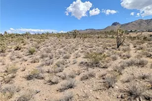 319-13-262 N Knoll, Dolan Springs, AZ 86441 - Photo 1