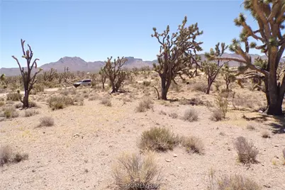 327-05-339 N Lost Mine Drive, Dolan Springs, AZ 86441 - Photo 14