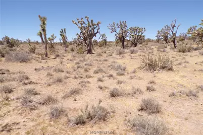 327-05-339 N Lost Mine Drive, Dolan Springs, AZ 86441 - Photo 6