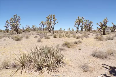 327-05-339 N Lost Mine Drive, Dolan Springs, AZ 86441 - Photo 10