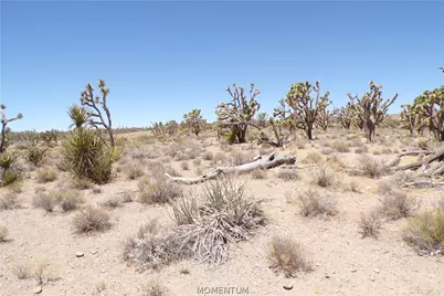 327-05-339 N Lost Mine Drive, Dolan Springs, AZ 86441 - Photo 18