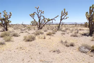 327-05-339 N Lost Mine Drive, Dolan Springs, AZ 86441 - Photo 12