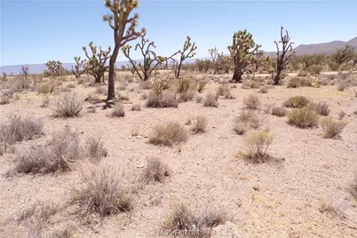 327-05-340 N Lost Mine Drive, Dolan Springs, AZ 86441 - Photo 18