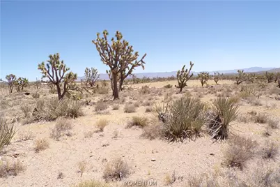 327-05-340 N Lost Mine Drive, Dolan Springs, AZ 86441 - Photo 22