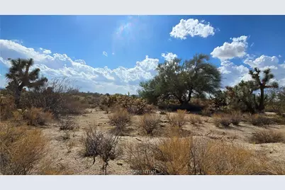 11844 S Nolan Road, Yucca, AZ 86438 - Photo 18