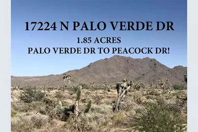 17224 Palo Verde Drive, Dolan Springs, AZ 86441 - Photo 1