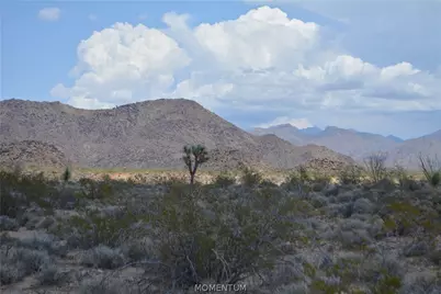 208-24-134 S Cameron Road, Yucca, AZ 86438 - Photo 24
