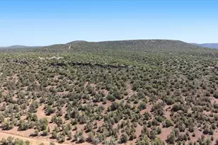 4619 N Lookout Cyn Rd, Kingman, AZ 86401 - Photo 38