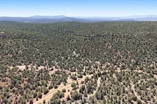 4619 N Lookout Cyn Rd, Kingman, AZ 86401 - Photo 46