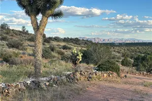 9801 E Nellie Dr, Kingman, AZ 86401 - Photo 2