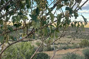 9801 E Nellie Dr, Kingman, AZ 86401 - Photo 34