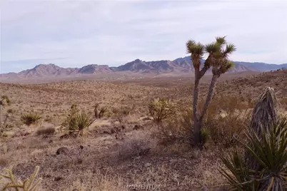 319-07-011B W 20th Street, Dolan Springs, AZ 86441 - Photo 22