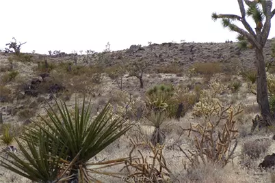 319-07-011B W 20th Street, Dolan Springs, AZ 86441 - Photo 4