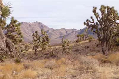 319-07-011B W 20th Street, Dolan Springs, AZ 86441 - Photo 1