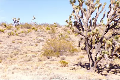 319-08-282 N Kaibab Road, Dolan Springs, AZ 86441 - Photo 30