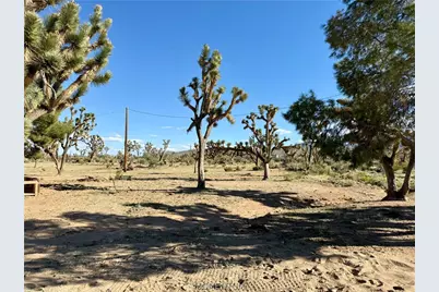18756 Rose Drive, Dolan Springs, AZ 86441 - Photo 16