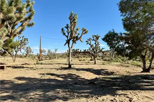 18756 Rose Dr, Dolan Springs, AZ 86441 - Photo 16