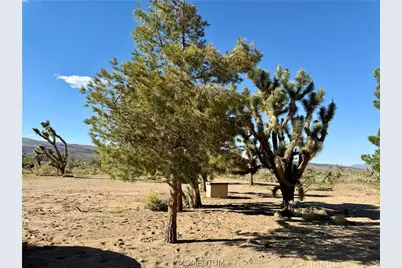 18756 Rose Drive, Dolan Springs, AZ 86441 - Photo 14